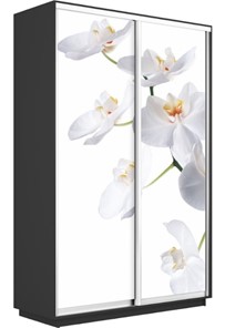 Шкаф 2-х створчатый Экспресс 1200x450x2200, Орхидея белая/серый диамант в Барнауле