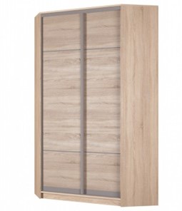 Угловой шкаф Аларти (YA-230х1250(602) (2) Вар. 4; двери D4+D4), без зеркала в Барнауле