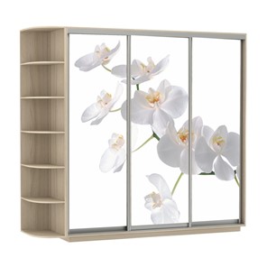 Шкаф Экспресс со стеллажом, 2100х600х2200, Орхидея белая/шимо светлый в Барнауле - предосмотр