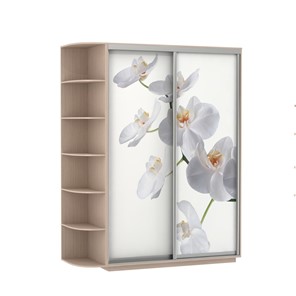 Шкаф 2-х створчатый Экспресс 1900x600x2200, со стеллажом, Орхидея белая/дуб молочный в Барнауле