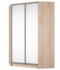 Угловой шкаф Аларти (YA-230х1400(602) (4) Вар. 4; двери D5+D5), с зеркалом в Барнауле