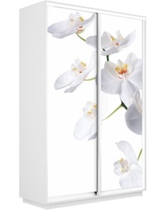 Шкаф Экспресс 1200x600x2200, Орхидея белая/белый снег в Барнауле