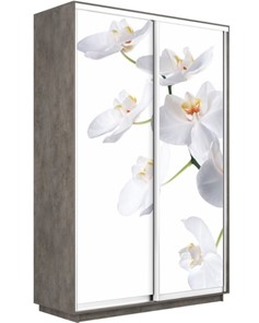 Шкаф двухдверный Экспресс 1200x600x2400, Орхидея белая/бетон в Барнауле
