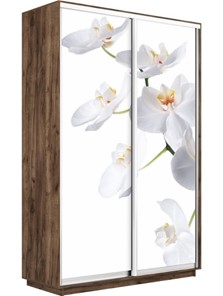 Шкаф Экспресс 1400x450x2400, Орхидея белая/дуб табачный в Барнауле