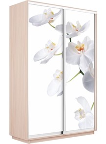 Шкаф 2-х створчатый Экспресс 1400x600x2200, Орхидея белая/дуб молочный в Барнауле