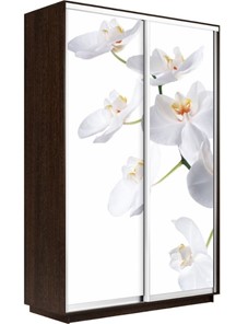 Шкаф Экспресс 1400x600x2400, Орхидея белая/венге в Барнауле - предосмотр