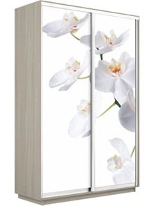 Шкаф Экспресс 1600x450x2200, Орхидея белая/шимо светлый в Барнауле
