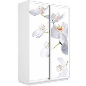 Шкаф 2-х створчатый Экспресс 1600x450x2400, Орхидея белая/белый снег в Барнауле