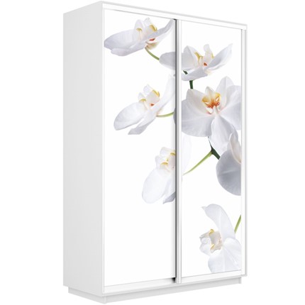 Шкаф 2-х створчатый Экспресс 1600x450x2400, Орхидея белая/белый снег в Барнауле - изображение