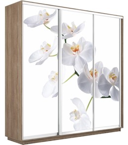 Шкаф 3-дверный Экспресс 1800х450х2200, Орхидея белая/дуб сонома в Барнауле