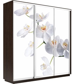 Шкаф трехдверный Экспресс 1800х450х2400, Орхидея белая/венге в Барнауле
