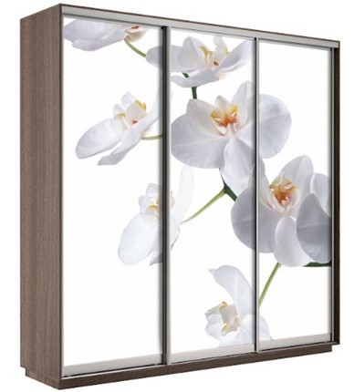 Шкаф трехдверный Экспресс 1800х600х2200, Орхидея бела/шимо темный в Барнауле - изображение