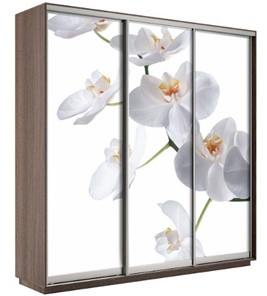 Шкаф 3-х створчатый Экспресс 1800х600х2400, Орхидея белая/шимо темный в Барнауле