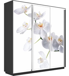 Шкаф 3-х створчатый Экспресс 2100х450х2200, Орхидея белая/серый диамант в Барнауле