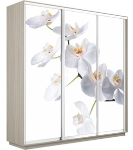 Шкаф трехдверный Экспресс 2100х600х2200, Орхидея белая/шимо светлый в Барнауле