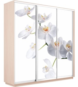 Шкаф 3-дверный Экспресс 2400х600х2400, Орхидея белая/дуб молочный в Барнауле