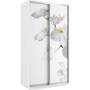 Шкаф 2-створчатый Хит 1200x600x2200, белая орхидея, белый снег в Барнауле - предосмотр