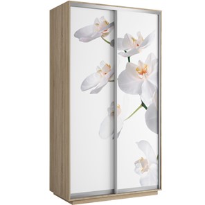 Шкаф Хит 1200x600x2200, белая орхидея, дуб сонома в Барнауле