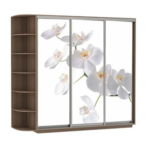 Шкаф 3-створчатый Экспресс со стеллажом, 2400х600х2200, Орхидея белая/шимо темный в Барнауле