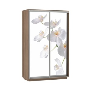 Шкаф 2-х створчатый Экспресс 1600x600x2200, Орхидея белая/шимо темный в Барнауле