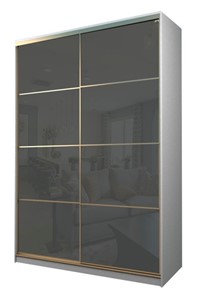 Шкаф 2-х дверный MAX МШ-25-6-18-22, Профиль Золото/Цвет Белый/Oracal Темно-серый в Барнауле