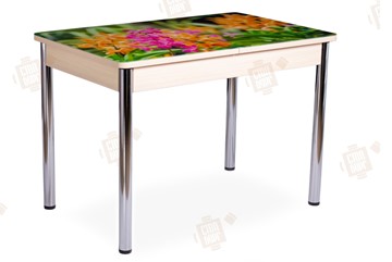 Кухонный стол раскладной Айсберг-02 СТФ, Дуб ЛДСП/полевые цветы/ноги хром прямые в Барнауле