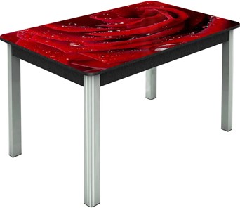 Кухонный стол раздвижной Гамбург исп. Мини, ноги метал. крашеные №23, Фотопечать (Цветы №39) в Барнауле