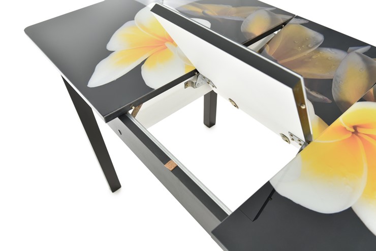 Кухонный раскладной стол Гамбург исп.2 ноги метал. крашеные №23, Фотопечать (Цветы №38) в Барнауле - изображение 5