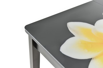 Кухонный раскладной стол Гамбург исп.2 ноги метал. крашеные №23, Фотопечать (Цветы №38) в Барнауле - предосмотр 8