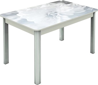 Кухонный стол раскладной Гамбург исп.2 ноги метал. крашеные №23, Фотопечать (Цветы №48) в Барнауле - предосмотр