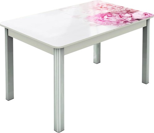 Кухонный стол раскладной Гамбург исп.2 ноги метал. крашеные №23, Фотопечать (Цветы №49) в Барнауле - изображение