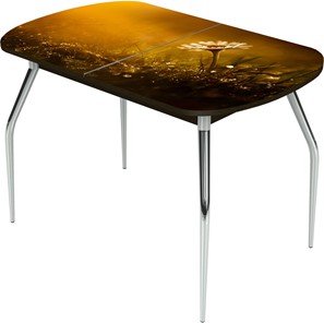 Кухонный раскладной стол Ривьера исп.2 ноги метал. крашеные №24 Фотопечать (Цветы №43) в Барнауле