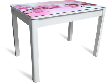 Кухонный стол раскладной Айсберг мини СТФ, белое лдсп/орхидея/40 прямые массив белые в Барнауле
