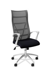 Офисное кресло для руководителя Топ X белый каркас, сетка/ткань TW / серая/черная в Барнауле