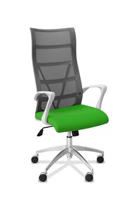 Офисное кресло для руководителя Топ X белый каркас, сетка/ткань TW / серая/салатовая в Барнауле - предосмотр