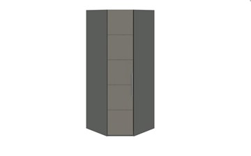 Распашной угловой шкаф Наоми, цвет Фон серый, Джут СМ-208.07.06 в Барнауле