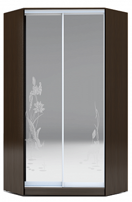 Шкаф 2300х1103, ХИТ У-23-4-66-01, цапля, 2 зеркала, венге аруба в Барнауле - изображение