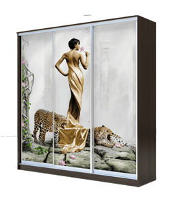 Шкаф 2400х2000х620, наполнение №1, Девушка с леопардом ХИТ 24-20-777-03 Венге Аруба в Барнауле
