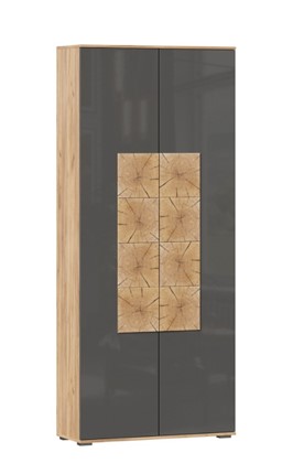 Шкаф двухстворчатый Фиджи с декоративными накладками 659.310, Дуб Золотой/Антрацит в Барнауле - изображение