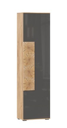 Шкаф одностворчатый Фиджи с декоративными накладками 659.300, Дуб Золотой/Антрацит в Барнауле - изображение
