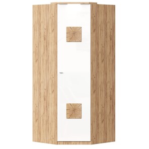 Шкаф угловой 45 с декоративной накладкой Фиджи, 659.248, белый в Барнауле - предосмотр