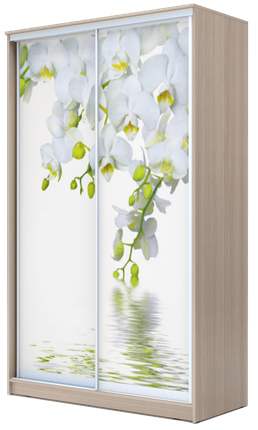 Шкаф 2400х1682х620, Белая Орхидея ХИТ 24-17-77-05 Ясень Шимо Светлый в Барнауле - изображение