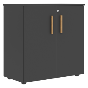 Низкий шкаф широкий с малыми дверцами FORTA Черный Графит FLC_80.1_Z__grafit.png FLC 80.1(Z) (798х404х801) в Барнауле