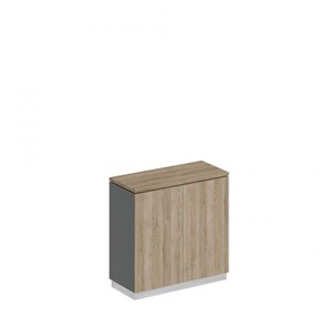 Шкаф для документов закрытый низкий Speech Cube (90x40x88.1) СИ 322 ДС АР ДС в Барнауле