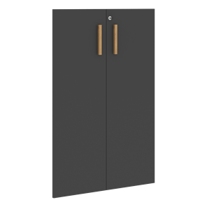 Двери для шкафов средние с замком FORTA Черный Графит FMD 40-2(Z) (794х18х1164) в Барнауле
