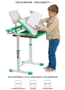 Растущий стул и растущая парта SET HOLTO-17А, зеленый в Барнауле - предосмотр 2